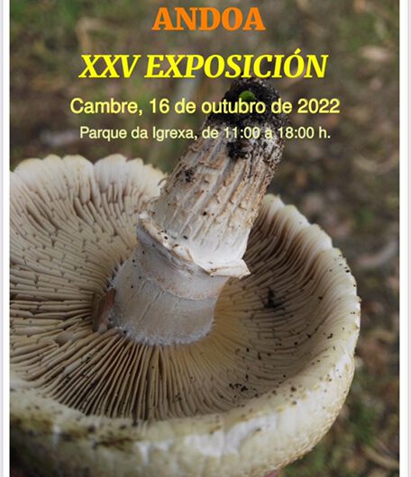 XXV Exposición Asociación Micolóxica Andoa