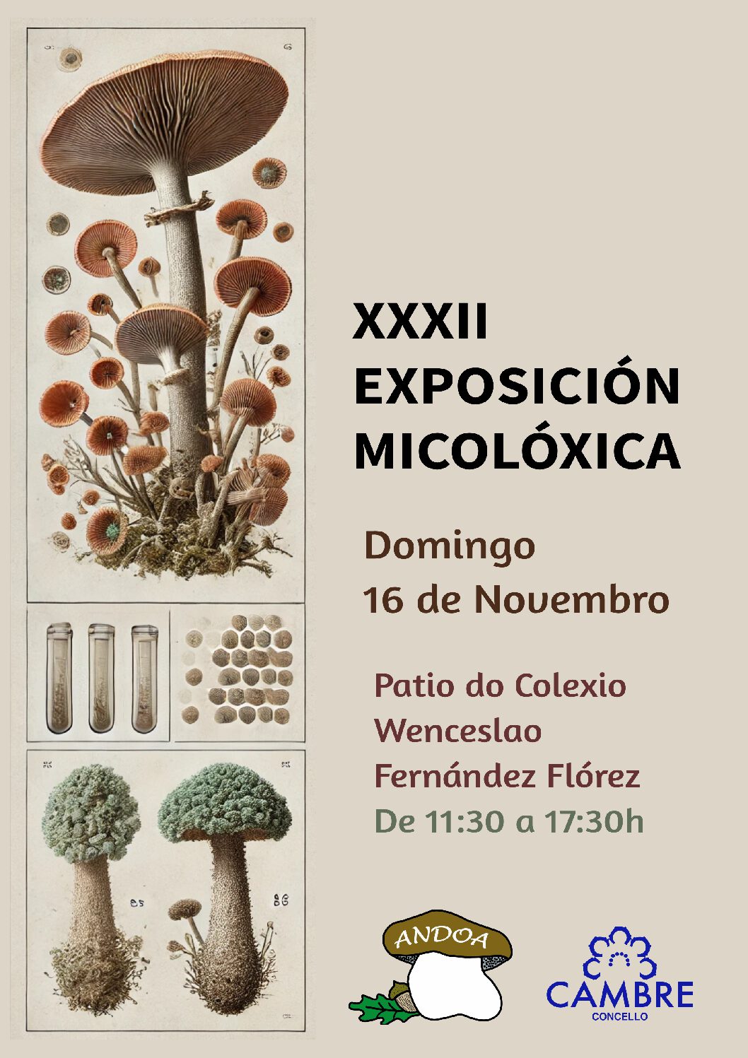 A XXXII Exposición Micolóxica de Andoa: Un encontro imprescindible coa natureza